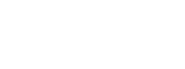 Blueprint Immigration